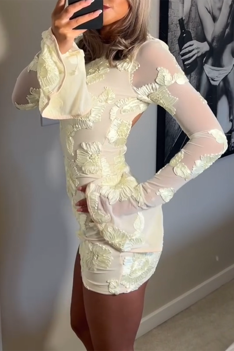 Robe mini à manches longues évasées en tulle, ornée d'une superposition florale, parfaite pour des occasions spéciales.